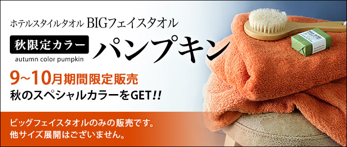 限定カラーパンプキン